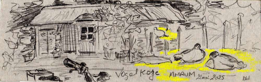 Vogelkoje
