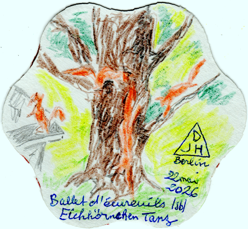 Eichhörnchen-Tanz