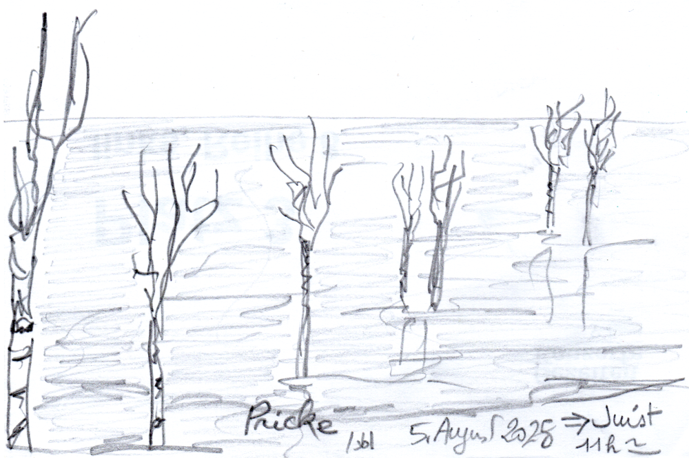 Pricken