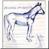 Pferd_2_t