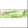 Deichvorland_t
