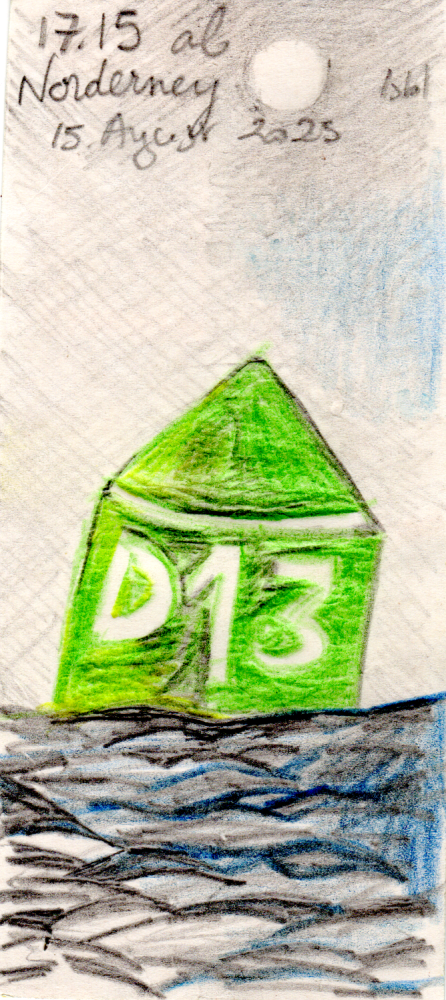 D13