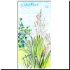 Nordstrand_t
